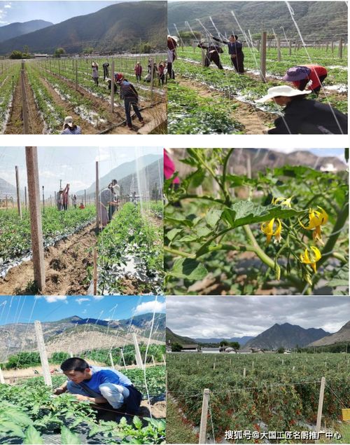 麗江百姓餐飲服務(wù)管理有限責(zé)任公司 食品安全誠信經(jīng)營示范單位